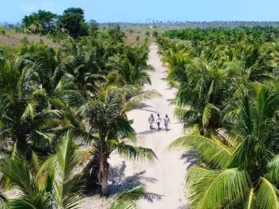 La SAVA dans toute sa richesse