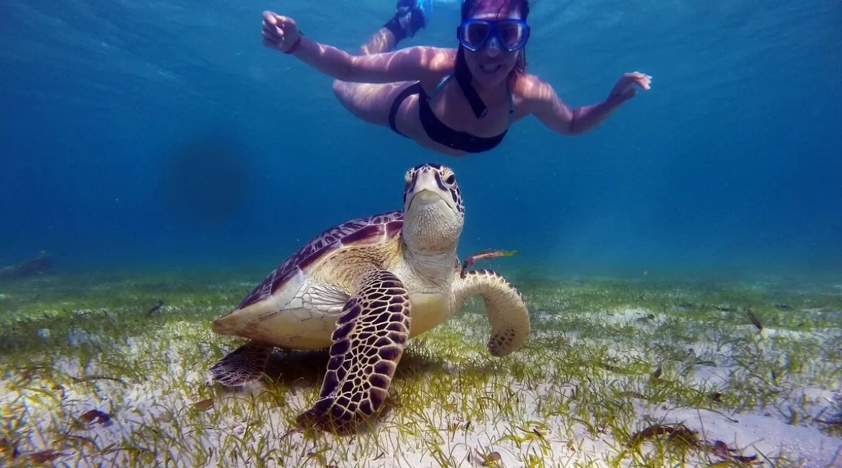 snorkeling-a-sakatia.jpg