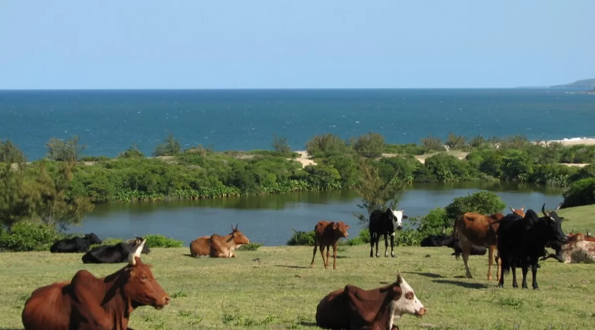 vohemar_lac_vert.jpg
